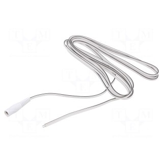 Cable | 2x0.5mm2 | wires,DC 5,5/2,5 socket | straight | white | 2m