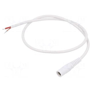 Cable | 1x1mm2 | wires,DC 5,5/2,5 socket | straight | white | 0.5m