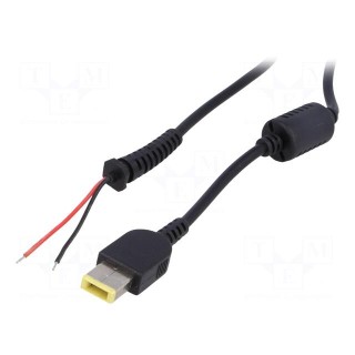 Cable | 2x0.5mm2 | wires,Slim Tip | straight | black | 1.2m