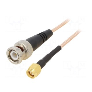 Cable | 50Ω | 0.3m | BNC plug,SMA male | shielded | transparent | 12"