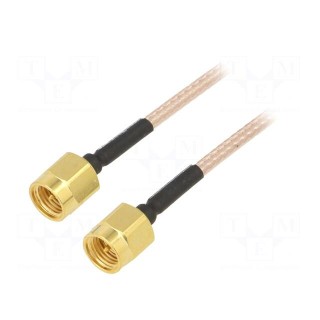 Cable | 50Ω | 0.61m | SMA plug,both sides | shielded | transparent