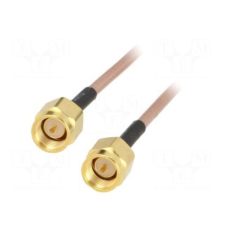 Cable | 50Ω | 0.61m | SMA plug,both sides | shielded | transparent
