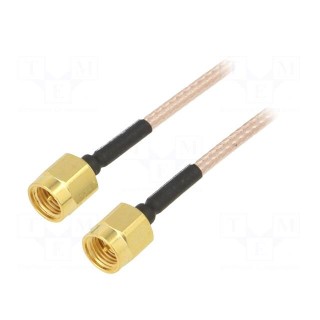 Cable | 50Ω | 1.22m | SMA plug,both sides | transparent | straight