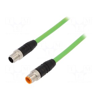 Connection lead | 2m | plug | 30VAC | 2A | -25÷80°C | IP67 | 30VDC