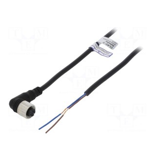 Connection lead | M12 | PIN: 2 | angled | 2m | plug | Insulation: PVC