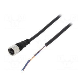 Connection lead | M12 | PIN: 2 | straight | 2m | plug | Insulation: PVC