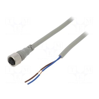 Connection lead | M12 | PIN: 2 | straight | 2m | plug | Wire colour: black
