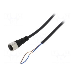 Connection lead | M12 | PIN: 2 | straight | 5m | plug | Insulation: PVC