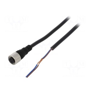 Connection lead | M12 | PIN: 2 | straight | 5m | plug | Insulation: PVC