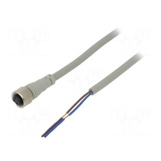 Connection lead | M12 | PIN: 2 | straight | 5m | plug | Wire colour: black