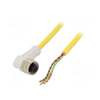 Connection lead | M12 | PIN: 3 | angled | 2m | plug | -25÷70°C | IP67 | CSA