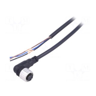 Connection lead | M12 | PIN: 3 | angled | 2m | plug | Insulation: PVC
