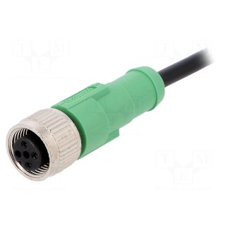 Connection lead | M12 | PIN: 3 | straight | 1.5m | plug | 250VAC | 4A | PVC
