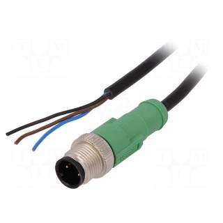 Connection lead | M12 | PIN: 3 | straight | 1.5m | plug | 250VAC | 4A | male