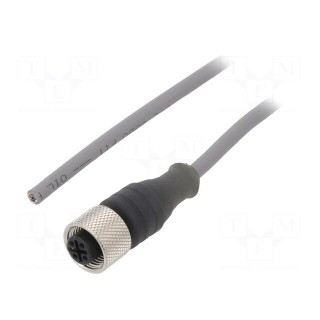 Connection lead | M12 | PIN: 3 | straight | 10m | plug | 250VAC | 3.1A | PVC