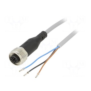 Connection lead | M12 | PIN: 3 | straight | 2.5m | plug | 250VAC | 4A | NEBU