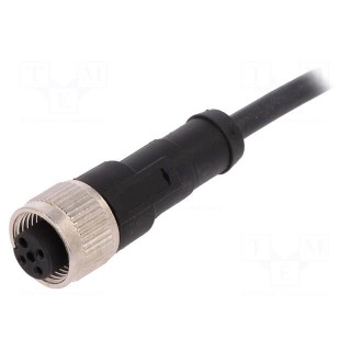 Connection lead | M12 | PIN: 3 | straight | 2m | plug | 250VAC | 4A | 250VDC
