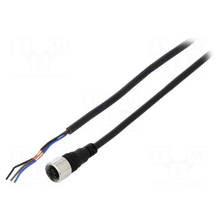Connection lead | M12 | PIN: 3 | straight | 2m | plug | Insulation: PVC