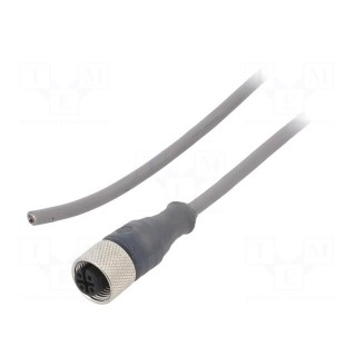 Connection lead | M12 | PIN: 3 | straight | 3m | plug | 250VAC | 3.1A | PVC