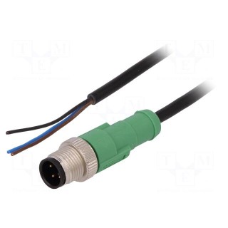 Connection lead | M12 | PIN: 3 | straight | 3m | plug | 250VAC | 4A | 250VDC