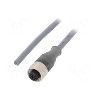 Connection lead | M12 | PIN: 3 | straight | 5m | plug | 250VAC | 2.7A | PUR