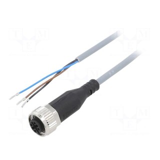 Connection lead | M12 | PIN: 3 | straight | 5m | plug | 250VAC | 4A | 250VDC
