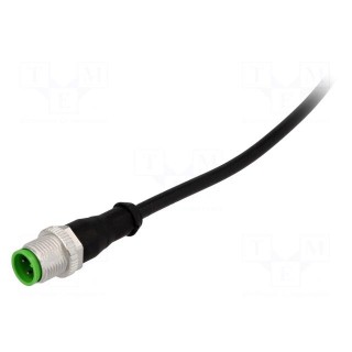 Connection lead | M12 | PIN: 3 | straight | 5m | plug | 250VAC | 4A | IP67