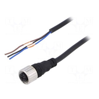 Connection lead | M12 | PIN: 3 | straight | 5m | plug | Insulation: PVC