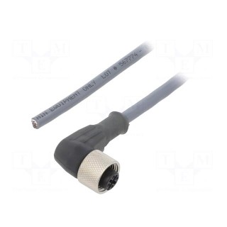 Connection lead | M12 | PIN: 4 | angled | 1m | plug | 250VAC | 2.2A | PUR