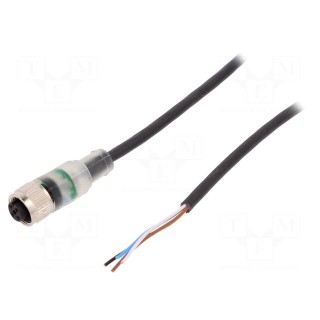 Connection lead | M12 | PIN: 4 | straight | 10m | plug | 24VAC | 4A | 24VDC