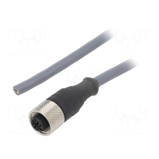Connection lead | M12 | PIN: 4 | straight | 10m | plug | 250VAC | 2.2A | PUR