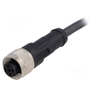 Connection lead | M12 | PIN: 4 | straight | 10m | plug | 250VAC | 4A | 250VDC