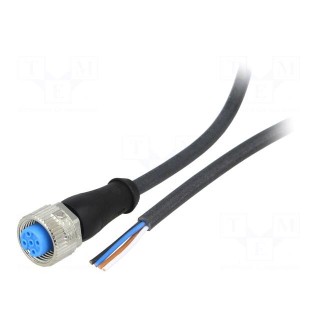 Connection lead | M12 | PIN: 4 | straight | 10m | plug | 250VAC | 4A | IP67