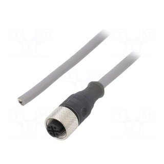 Connection lead | M12 | PIN: 4 | straight | 1m | plug | 250VAC | 2.5A | PVC