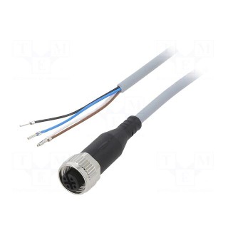 Connection lead | M12 | PIN: 4 | straight | 2.5m | plug | 250VAC | 4A | NEBU