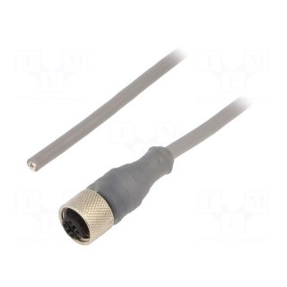 Connection lead | M12 | PIN: 4 | straight | 20m | plug | 250VAC | 2.5A | PVC