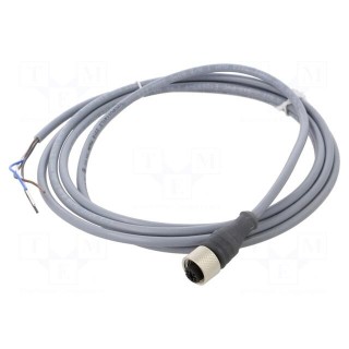Connection lead | M12 | PIN: 4 | straight | 2m | plug | 250VAC | 3A | 300VDC