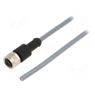 Connection lead | M12 | PIN: 4 | straight | 2m | plug | 250VAC | 4A | IP67