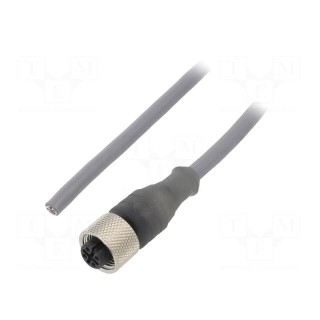 Connection lead | M12 | PIN: 4 | straight | 3m | plug | 250VAC | 2.2A | PUR
