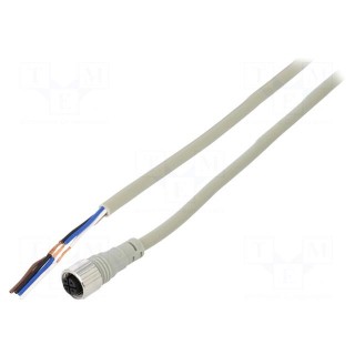 Connection lead | M12 | PIN: 4 | straight | 3m | plug | Wire colour: black
