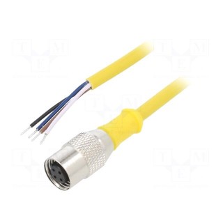 Connection lead | M12 | PIN: 4 | straight | 5m | plug | -25÷70°C | IP67