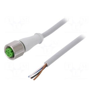 Connection lead | M12 | PIN: 4 | straight | 5m | plug | 250VAC | -25÷80°C