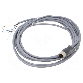 Connection lead | M12 | PIN: 4 | straight | 5m | plug | 250VAC | 3A | 300VDC