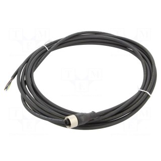 Connection lead | M12 | PIN: 4 | straight | 5m | plug | 250VAC | 4A | -5÷80°C