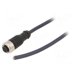 Connection lead | M12 | PIN: 4 | straight | 5m | plug | 250VAC | 4A | IP69K