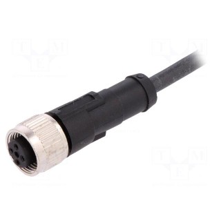 Connection lead | M12 | PIN: 4 | straight | 5m | plug | 250VAC | 4A | 250VDC