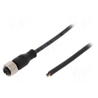 Connection lead | M12 | PIN: 4 | straight | 5m | plug | 250VAC | 4A | female