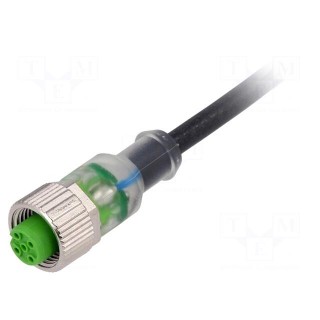 Connection lead | M12 | PIN: 4 | straight | 5m | plug | 4A | -25÷85°C | IP67