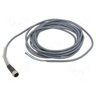 Connection lead | M12 | PIN: 4 | straight | 5m | plug | PVC | female