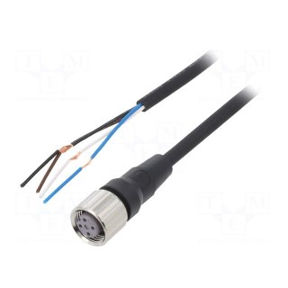 Connection lead | M12 | PIN: 4 | straight | Len: 5m | plug | 4A | -10÷80°C